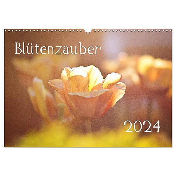 Blütenzauber 2024 (Wandkalender 2024 DIN A3 quer), CALVENDO Monatskalender, Anett Petrich