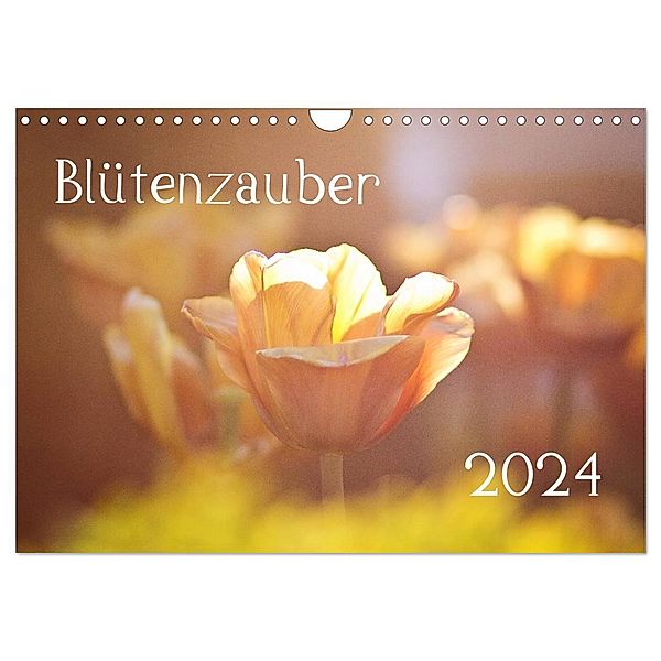 Blütenzauber 2024 (Wandkalender 2024 DIN A4 quer), CALVENDO Monatskalender, Anett Petrich