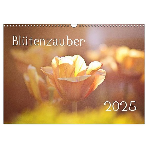 Blütenzauber 2025 (Wandkalender 2025 DIN A3 quer), CALVENDO Monatskalender, Calvendo, Anett Petrich