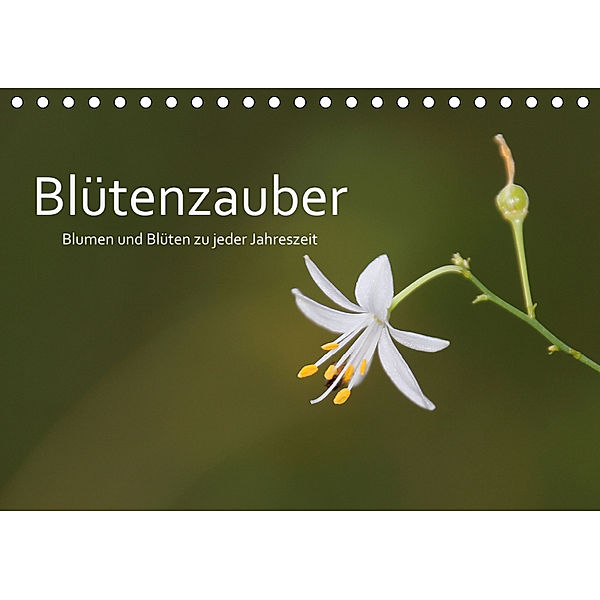 Blütenzauber - Blumen und Blüten zu jeder Jahreszeit (Tischkalender 2019 DIN A5 quer), Cornelia Nerlich