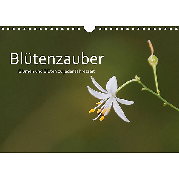 Blütenzauber - Blumen und Blüten zu jeder Jahreszeit (Wandkalender 2019 DIN A4 quer), Cornelia Nerlich