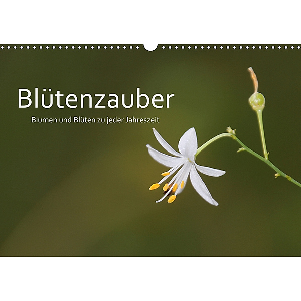 Blütenzauber - Blumen und Blüten zu jeder Jahreszeit (Wandkalender 2019 DIN A3 quer), Cornelia Nerlich