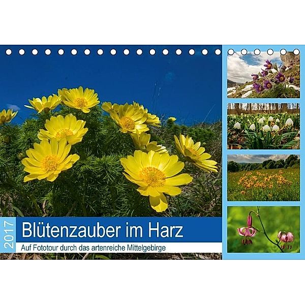 Blütenzauber im Harz (Tischkalender 2017 DIN A5 quer), Armin Maywald