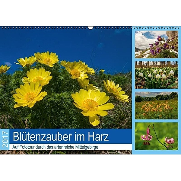Blütenzauber im Harz (Wandkalender 2017 DIN A2 quer), Armin Maywald