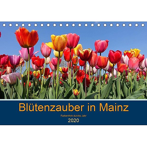 Blütenzauber in Mainz (Tischkalender 2020 DIN A5 quer), Nadine Köller