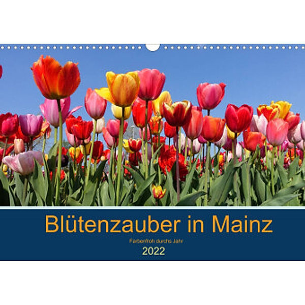 Blütenzauber in Mainz (Wandkalender 2022 DIN A3 quer), Nadine Köller