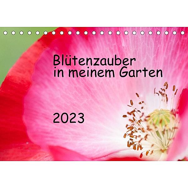 Blütenzauber in meinem Garten (Tischkalender 2023 DIN A5 quer), JuSev