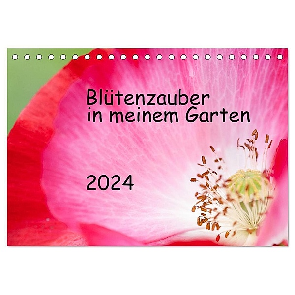 Blütenzauber in meinem Garten (Tischkalender 2024 DIN A5 quer), CALVENDO Monatskalender, JuSev