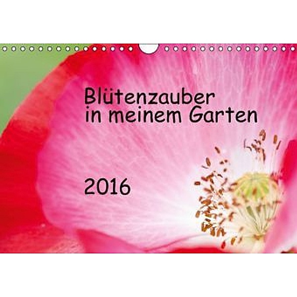 Blütenzauber in meinem Garten (Wandkalender 2016 DIN A4 quer), JuSev