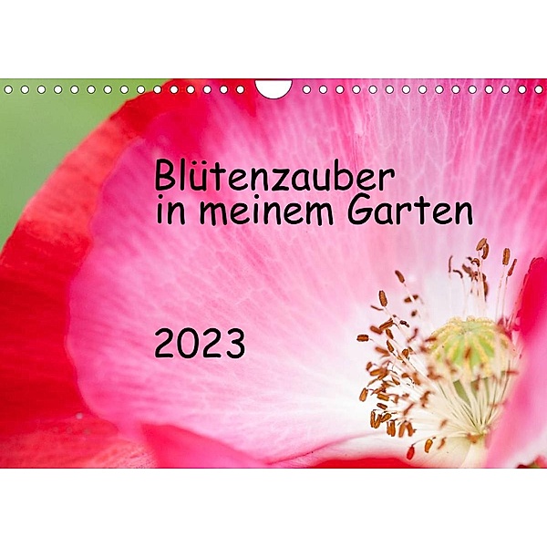 Blütenzauber in meinem Garten (Wandkalender 2023 DIN A4 quer), JuSev