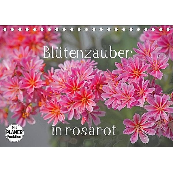 Blütenzauber in rosarot (Tischkalender 2017 DIN A5 quer), Christa Kramer