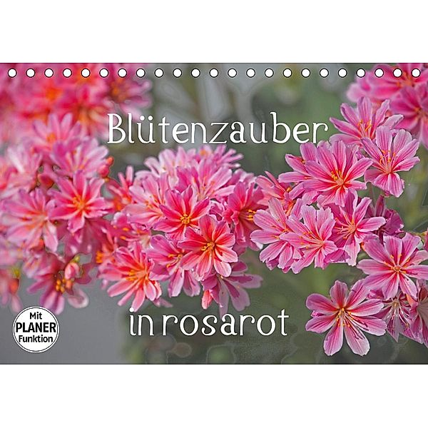 Blütenzauber in rosarot (Tischkalender 2020 DIN A5 quer), Christa Kramer