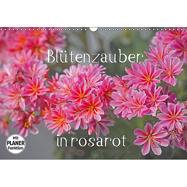 Blütenzauber in rosarot (Wandkalender 2019 DIN A3 quer), Christa Kramer