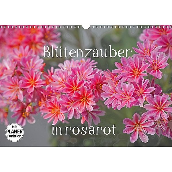 Blütenzauber in rosarot (Wandkalender 2021 DIN A3 quer), Christa Kramer