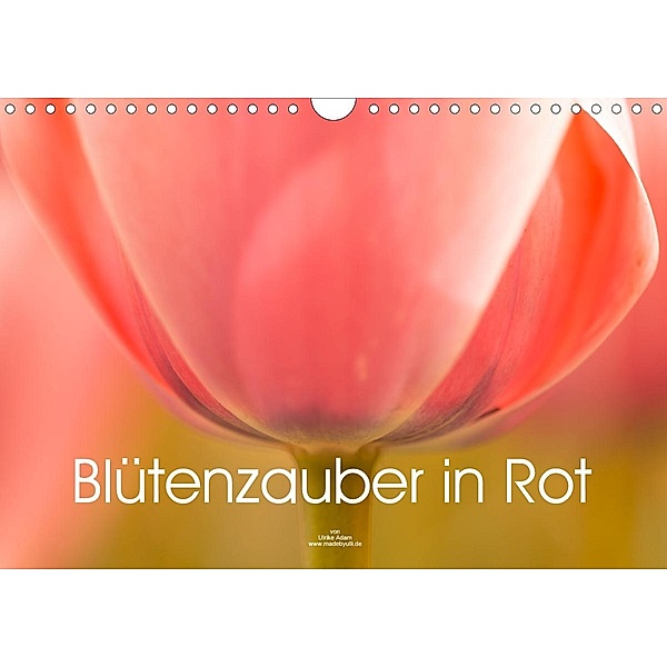 Blütenzauber in Rot (Wandkalender 2021 DIN A4 quer), Ulrike Adam