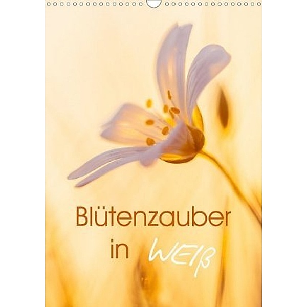 Blütenzauber in Weiß (Wandkalender 2020 DIN A3 hoch), Ulrike Adam