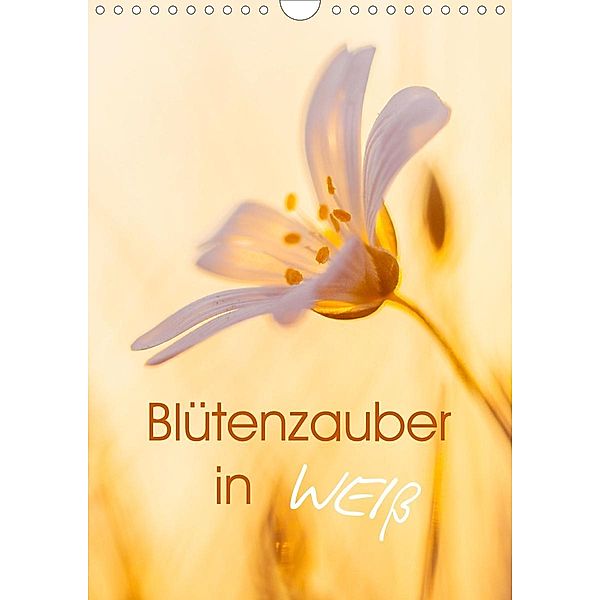 Blütenzauber in Weiß (Wandkalender 2021 DIN A4 hoch), Ulrike Adam