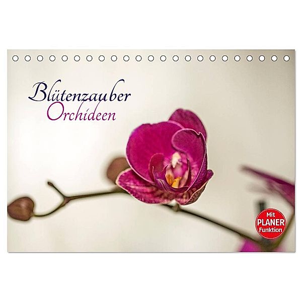 Blütenzauber Orchideen (Tischkalender 2024 DIN A5 quer), CALVENDO Monatskalender, Andrea Potratz