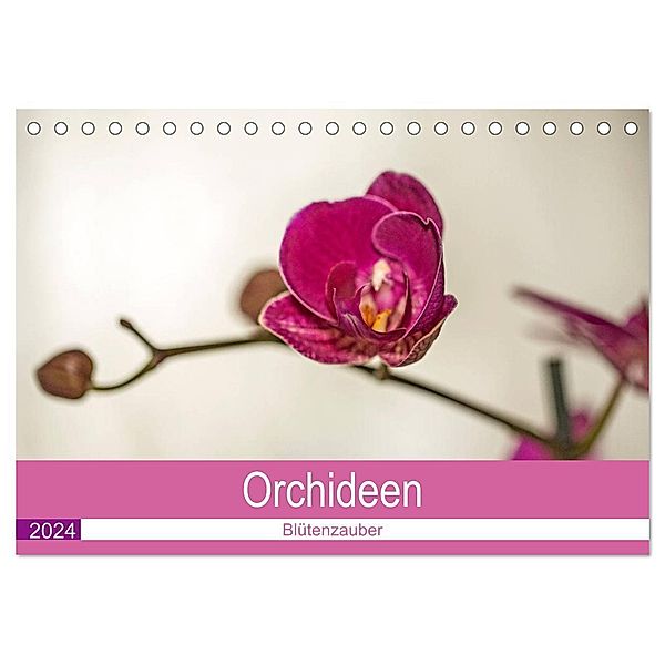 Blütenzauber Orchideen (Tischkalender 2024 DIN A5 quer), CALVENDO Monatskalender, Andrea Potratz