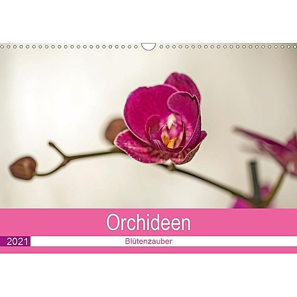 Blütenzauber Orchideen (Wandkalender 2021 DIN A3 quer), Andrea Potratz
