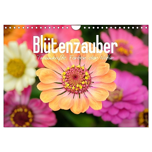 Blütenzauber - Traumhafte Farben der Natur (Wandkalender 2024 DIN A4 quer), CALVENDO Monatskalender, BENPX MEDIA