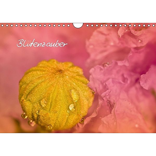 Blütenzauber Traumhafte Natur (AT - Version) (Wandkalender 2014 DIN A4 quer), Melanie Viola