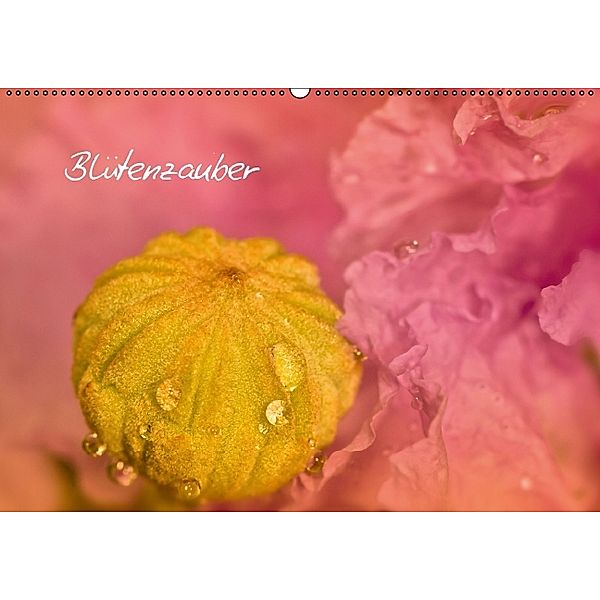 Blütenzauber Traumhafte Natur (AT - Version) (Wandkalender 2014 DIN A2 quer), Melanie Viola