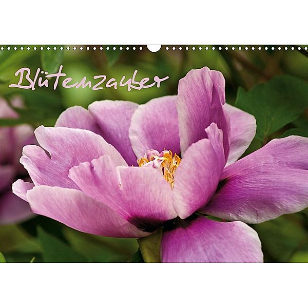 Blütenzauber (Wandkalender 2021 DIN A3 quer), Anja Ergler