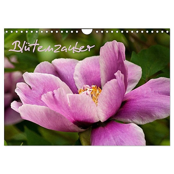Blütenzauber (Wandkalender 2024 DIN A4 quer), CALVENDO Monatskalender, Anja Ergler
