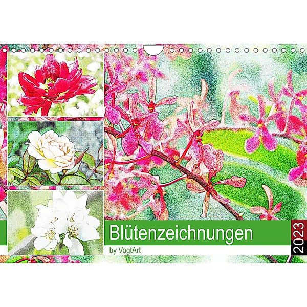 Blütenzeichnungen (Wandkalender 2023 DIN A4 quer), VogtArt