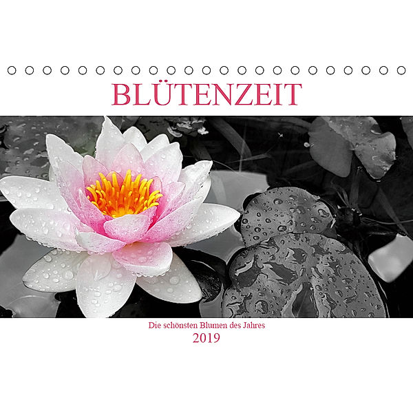 BLÜTENZEIT - Die schönsten Blumen des Jahres (Tischkalender 2019 DIN A5 quer), Chris Henri