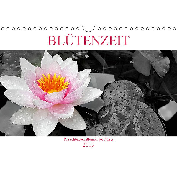 BLÜTENZEIT - Die schönsten Blumen des Jahres (Wandkalender 2019 DIN A4 quer), Chris Henri