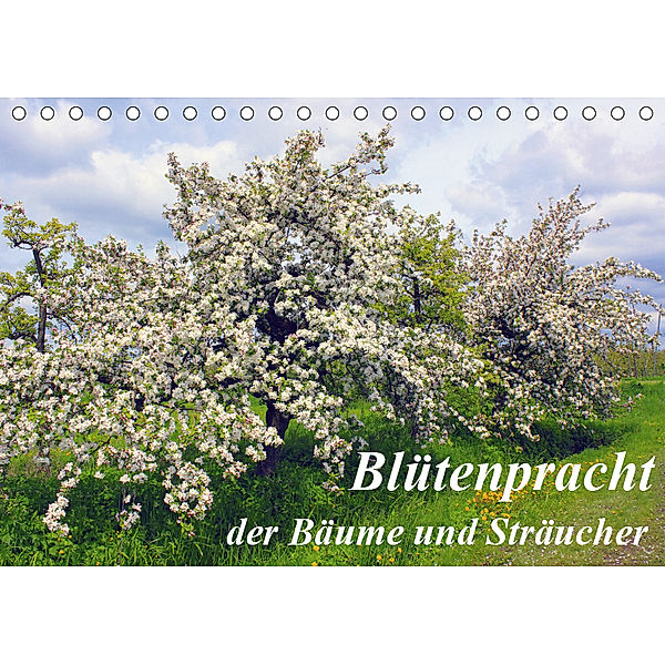 Blütezeit der Bäume und Sträucher (Tischkalender 2019 DIN A5 quer), Lothar Reupert