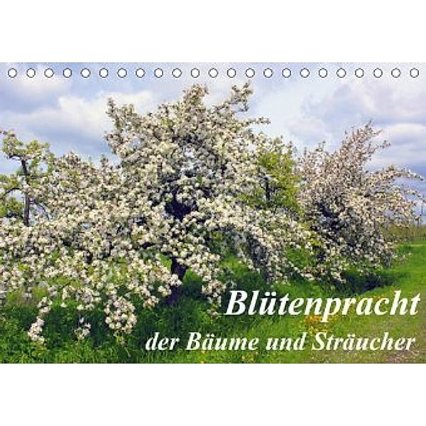 Blütezeit der Bäume und Sträucher (Tischkalender 2020 DIN A5 quer), Lothar Reupert