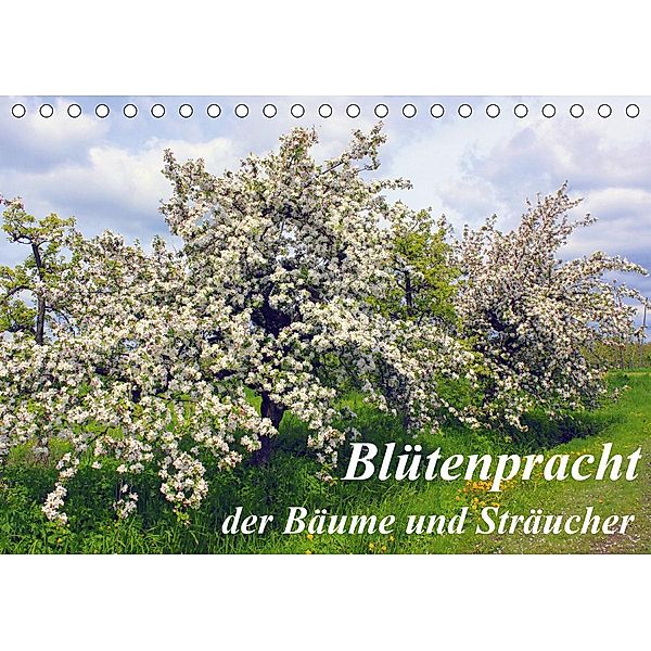 Blütezeit der Bäume und Sträucher (Tischkalender 2021 DIN A5 quer), Lothar Reupert