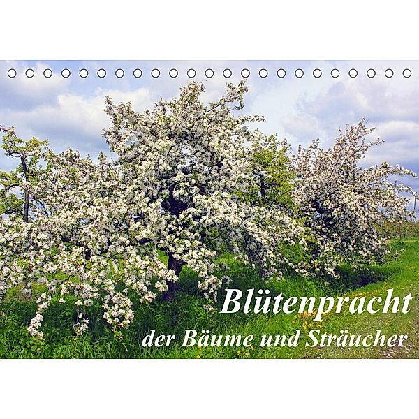 Blütezeit der Bäume und Sträucher (Tischkalender 2023 DIN A5 quer), lothar reupert