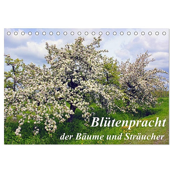 Blütezeit der Bäume und Sträucher (Tischkalender 2024 DIN A5 quer), CALVENDO Monatskalender, lothar reupert
