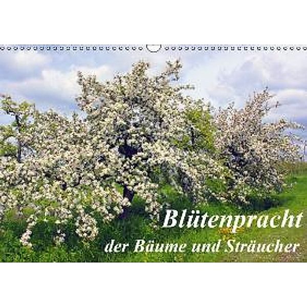 Blütezeit der Bäume und Sträucher (Wandkalender 2016 DIN A3 quer), Lothar Reupert