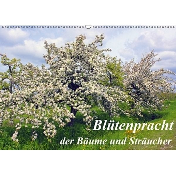 Blütezeit der Bäume und Sträucher (Wandkalender 2017 DIN A2 quer), Lothar Reupert