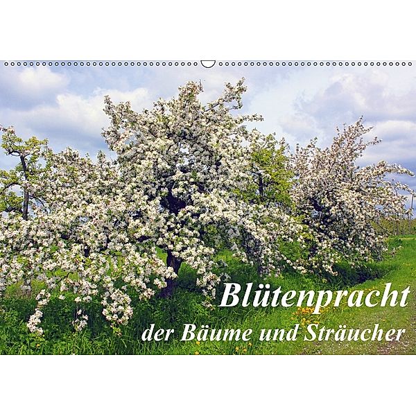 Blütezeit der Bäume und Sträucher (Wandkalender 2018 DIN A2 quer), Lothar Reupert