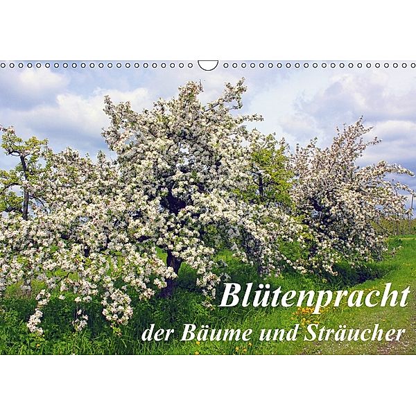 Blütezeit der Bäume und Sträucher (Wandkalender 2018 DIN A3 quer), Lothar Reupert