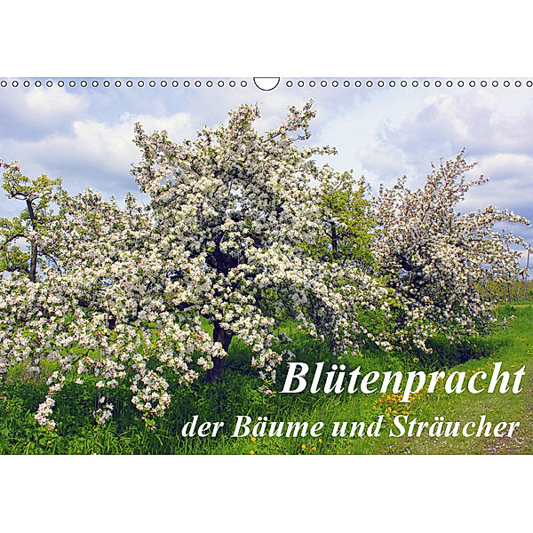 Blütezeit der Bäume und Sträucher (Wandkalender 2019 DIN A3 quer), Lothar Reupert