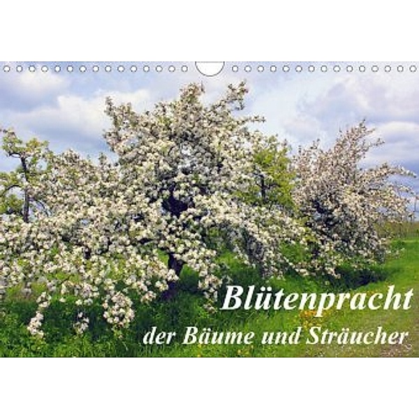 Blütezeit der Bäume und Sträucher (Wandkalender 2020 DIN A4 quer), Lothar Reupert