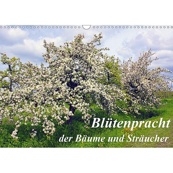 Blütezeit der Bäume und Sträucher (Wandkalender 2021 DIN A3 quer), Lothar Reupert