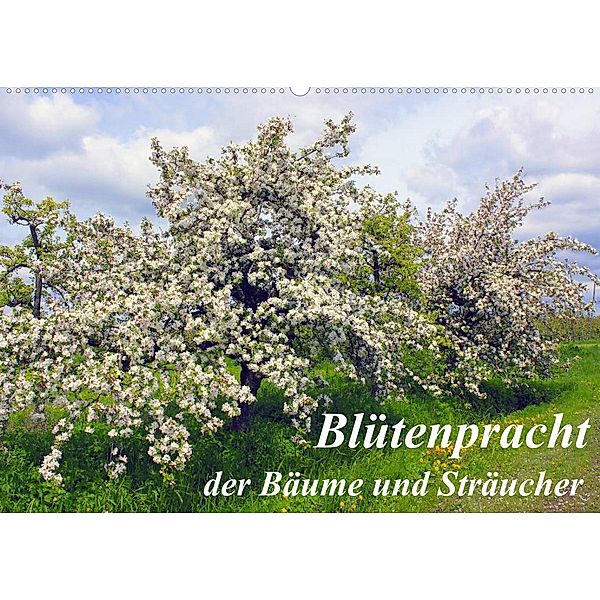 Blütezeit der Bäume und Sträucher (Wandkalender 2023 DIN A2 quer), lothar reupert
