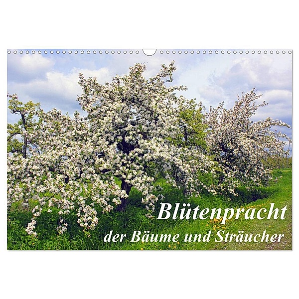 Blütezeit der Bäume und Sträucher (Wandkalender 2024 DIN A3 quer), CALVENDO Monatskalender, lothar reupert