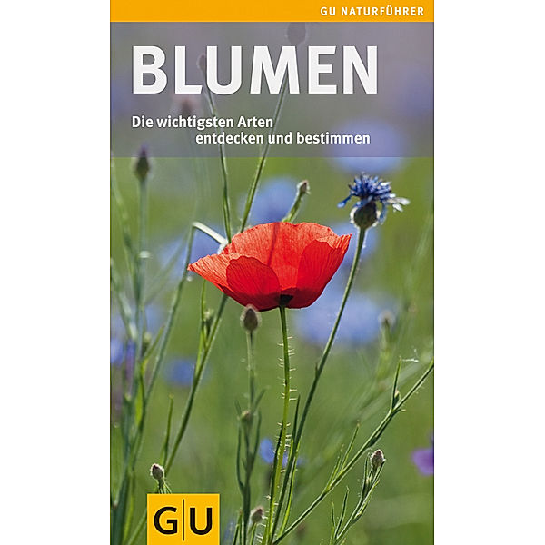 Blumen, Angelika Lang