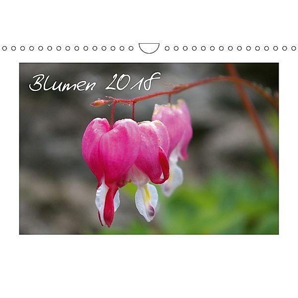 Blumen / 2018 (Wandkalender 2018 DIN A4 quer), lajavi.com