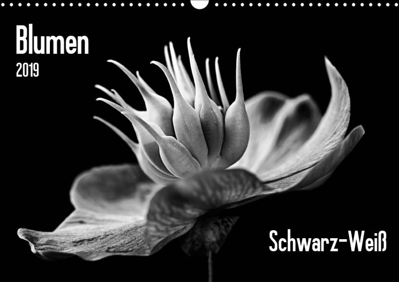 Blumen 19 Schwarz Weiss Wandkalender 19 Din A3 Quer Kalender Bestellen