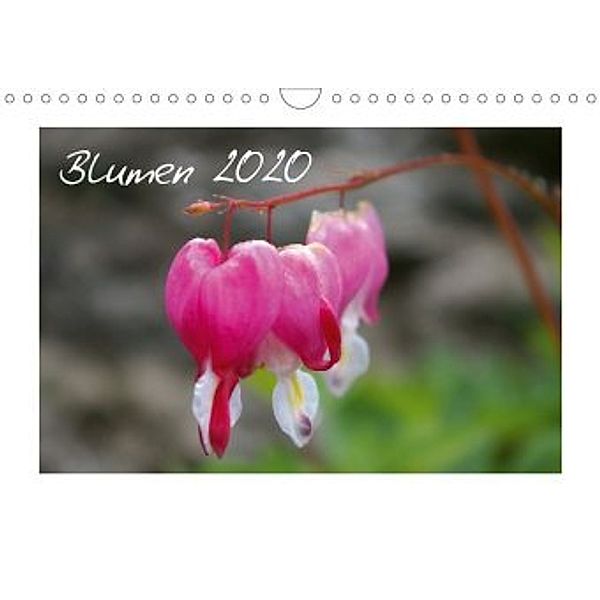 Blumen / 2020 (Wandkalender 2020 DIN A4 quer)